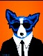 Bluedog's Avatar